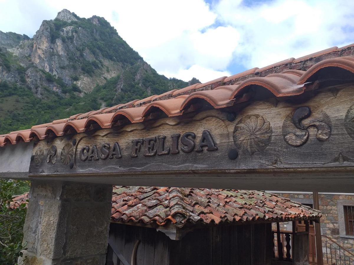 波拉德索米耶多Casa Felisa公寓 外观 照片